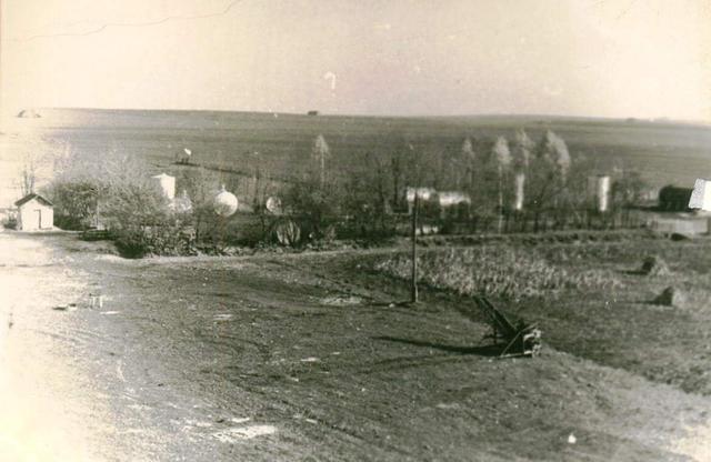 Milk farm in Kupel. Молочная ферма в Купеле Milk farm in Kupel. Молочная ферма в Купеле